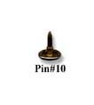 Pin10
